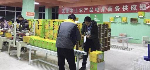 借力農村電商“東風”助推金堂柑橘銷往全國