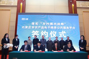 河北365集團 電子商務(wù)賦能，在新時代舞臺綻放河北企業(yè)風采